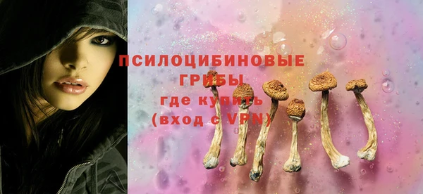 бошки Покачи