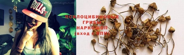 прущая мука Баксан
